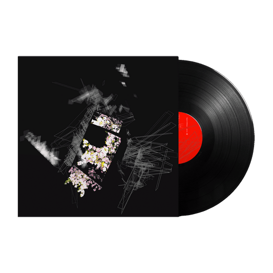 Capture & Release LP (Black)